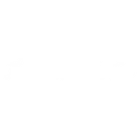 The Bear & The Fox logo
